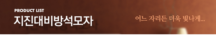 지진방석